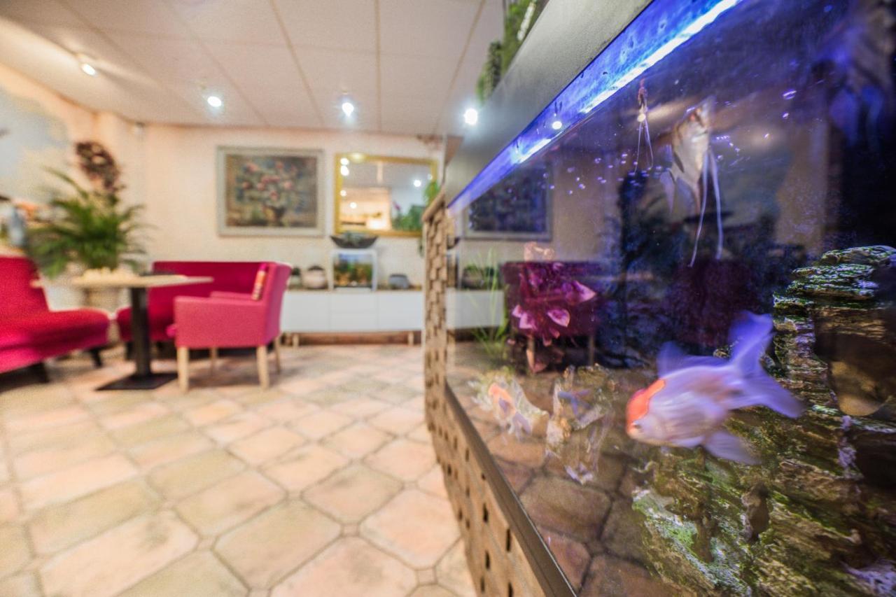 Hotel Le Provencal Sluis Eksteriør billede